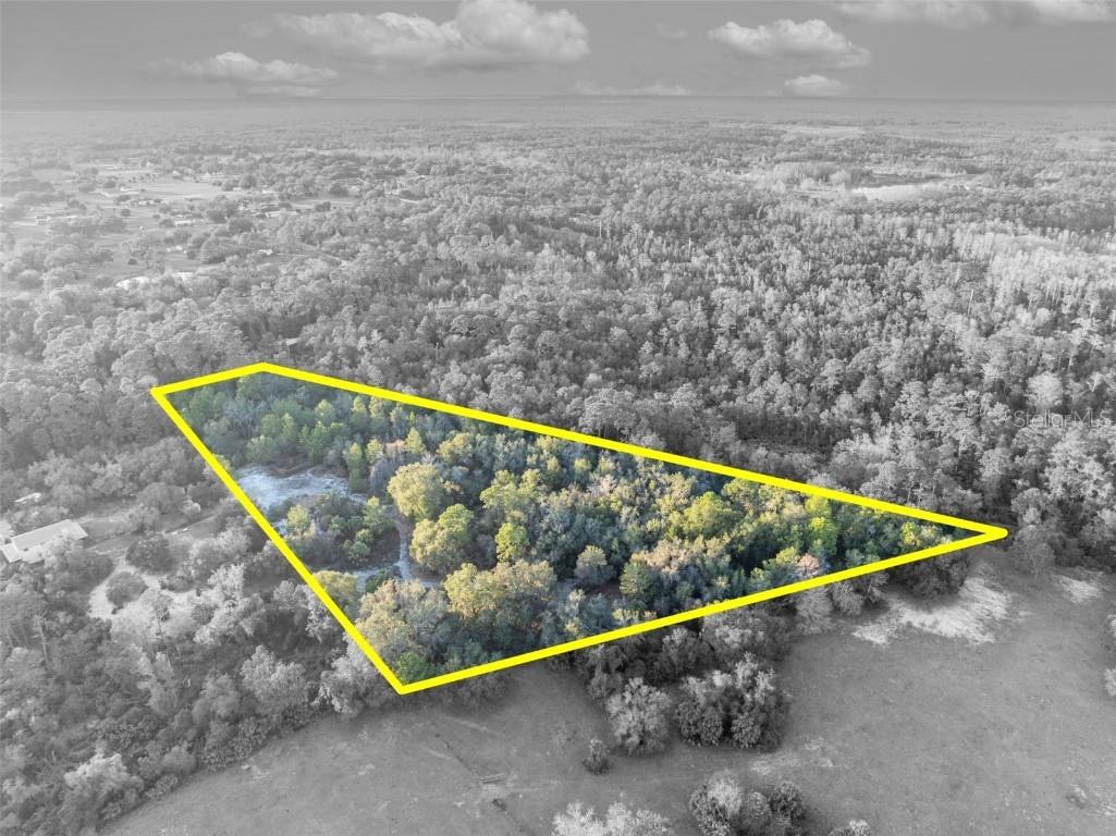 Willow Pond Lane Geneva FL 32732 O6371584 image3