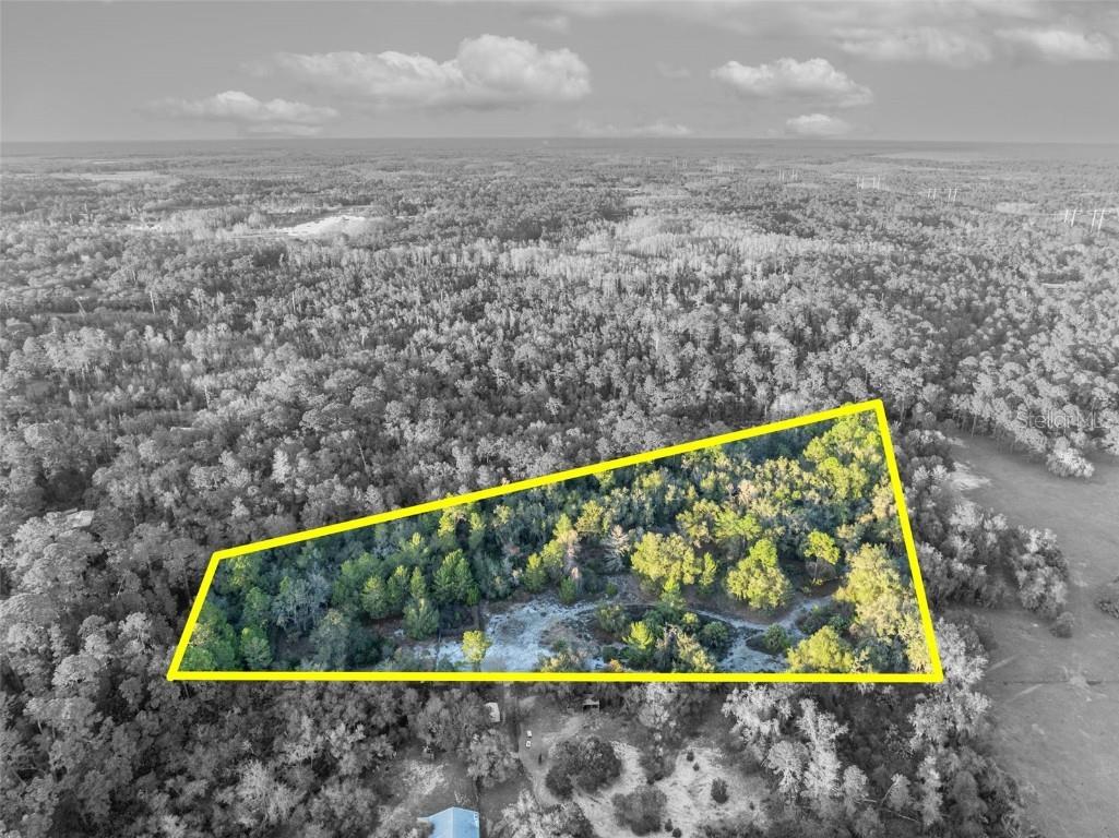 Willow Pond Lane Geneva FL 32732 O6371584 image4