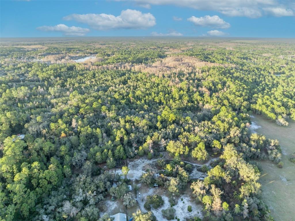 Willow Pond Lane Geneva FL 32732 O6371584 image7