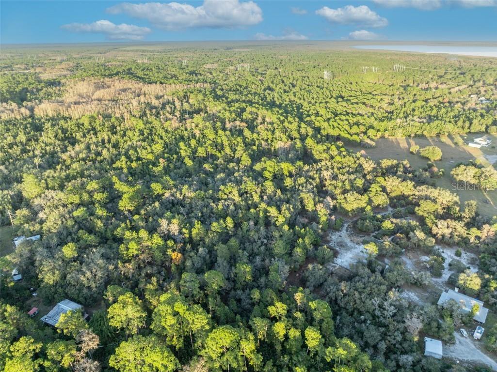 Willow Pond Lane Geneva FL 32732 O6371584 image8