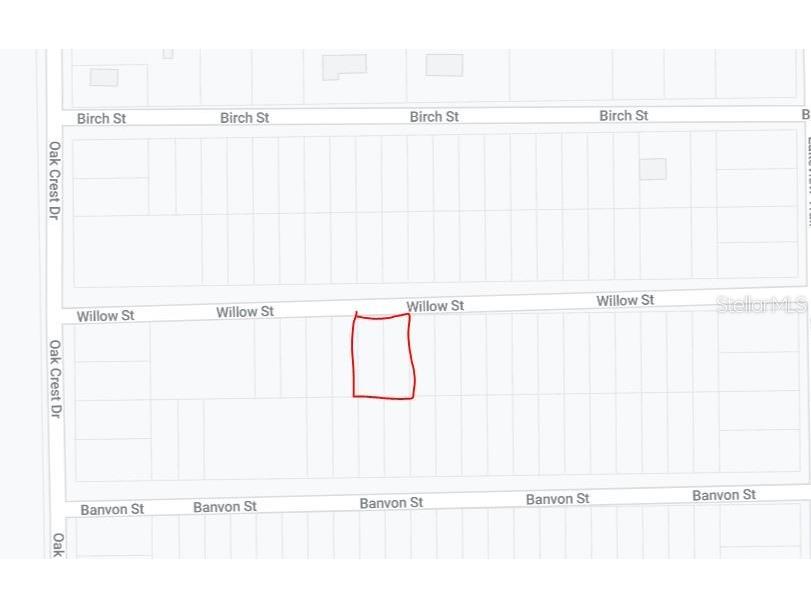 Willow St Street Interlachen FL 32148 OM631826 image3