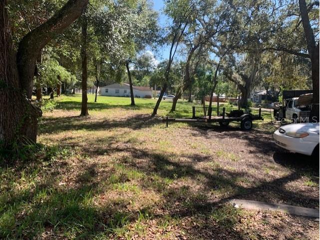 Wilmar Avenue Tarpon Springs FL 34689 U8141569 image1