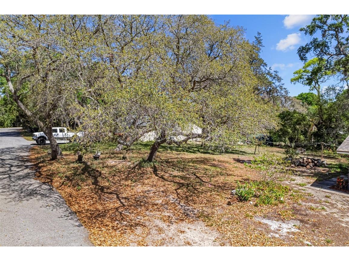 Wilmar Avenue Tarpon Springs FL 34689 U8236106 image1