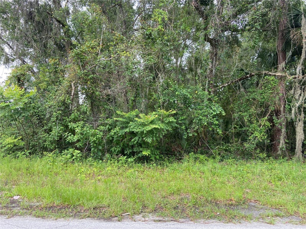 Wilson Avenue Deland FL 32720 V4930539 image1