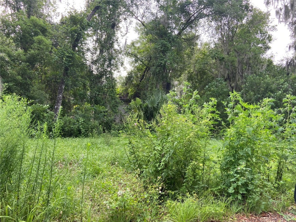 Wilson Avenue Deland FL 32720 V4930539 image3