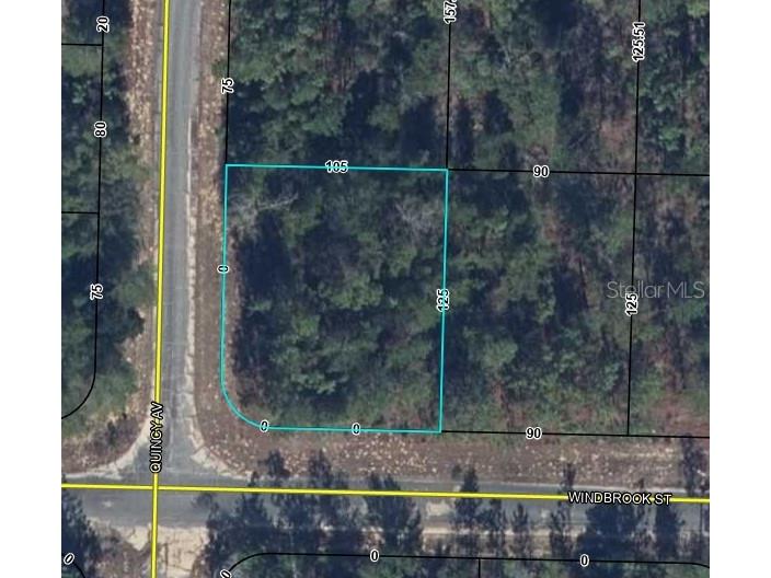 Windbrook Street Chipley FL 32428 O6396913 image1