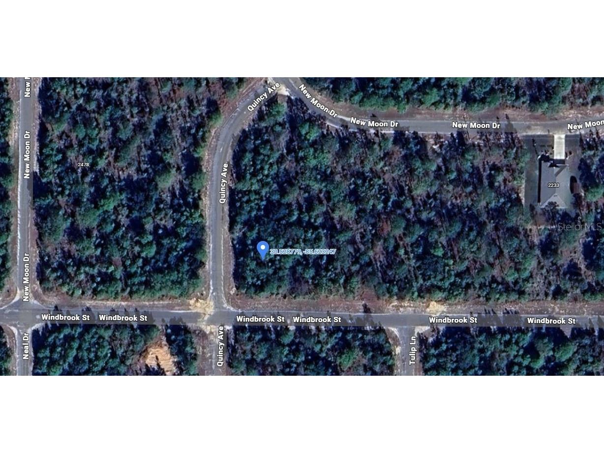 Windbrook Street Chipley FL 32428 O6396913 image2