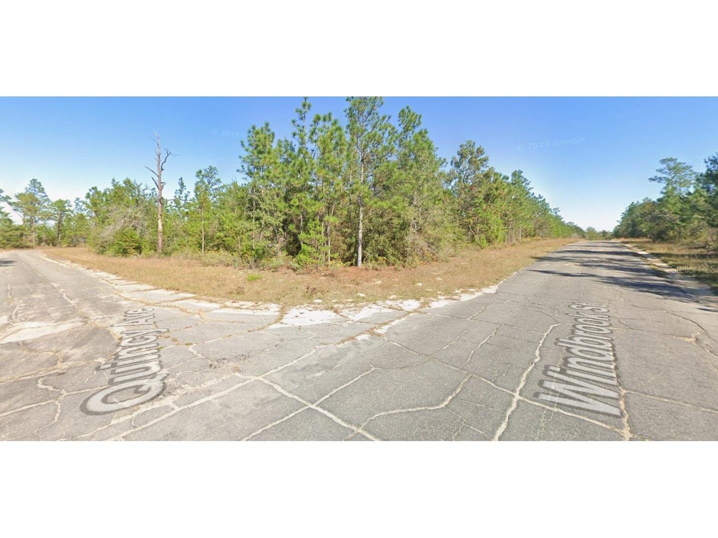 Windbrook Street Chipley FL 32428 O6396913 image3