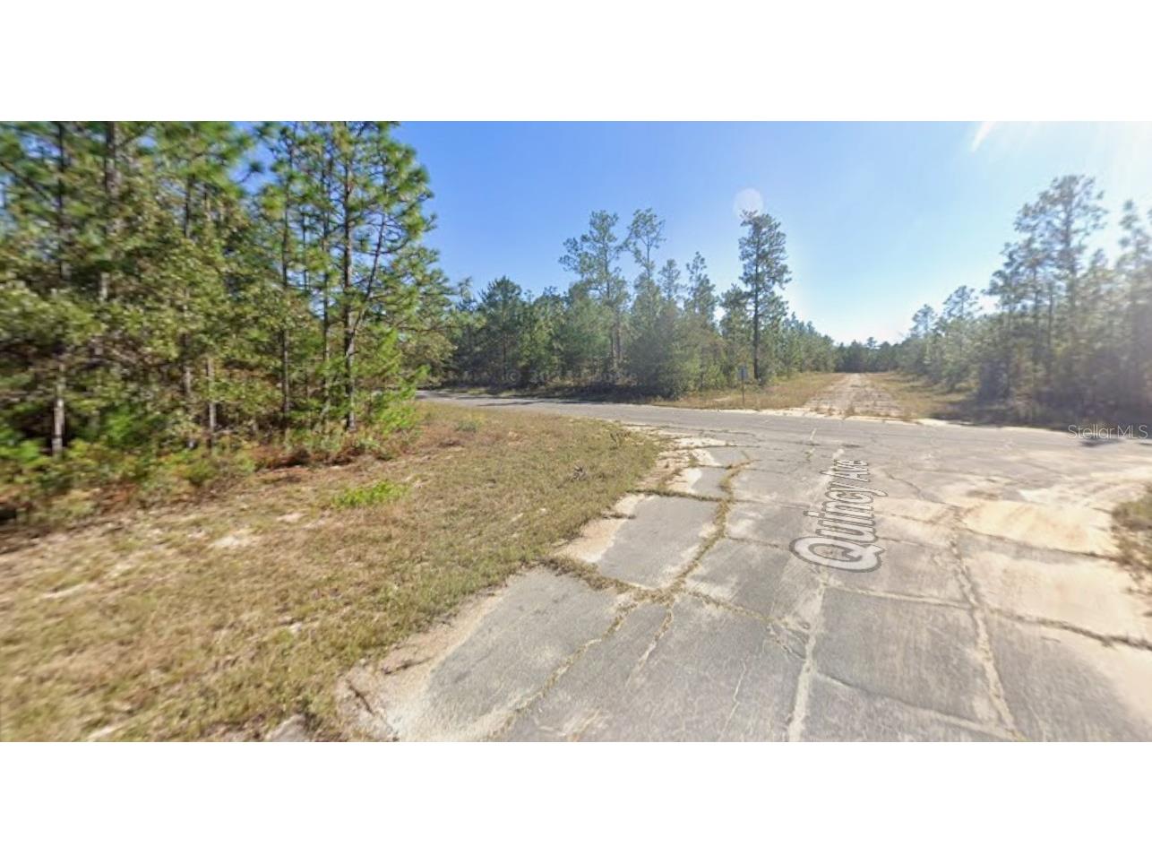 Windbrook Street Chipley FL 32428 O6396913 image4