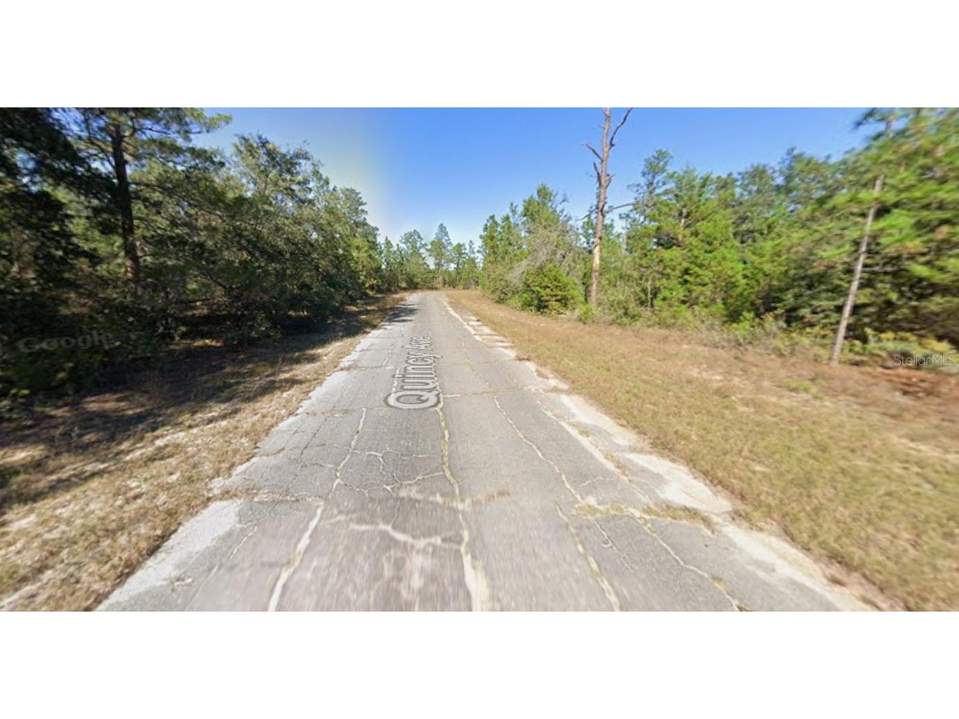 Windbrook Street Chipley FL 32428 O6396913 image5