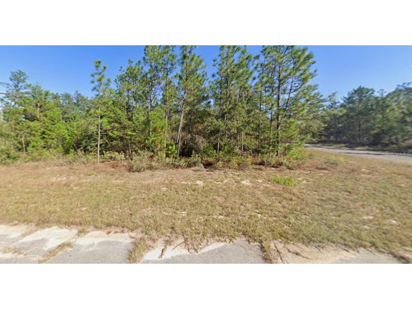 Windbrook Street Chipley FL 32428 O6396913 image6