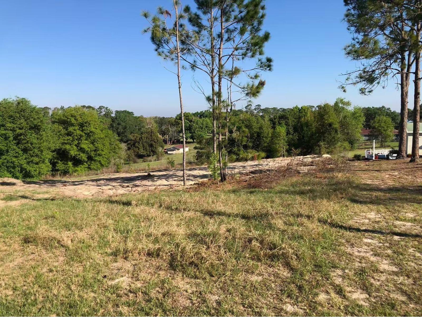 Windy Hill Drive Eustis FL 32726 O6388634 image1