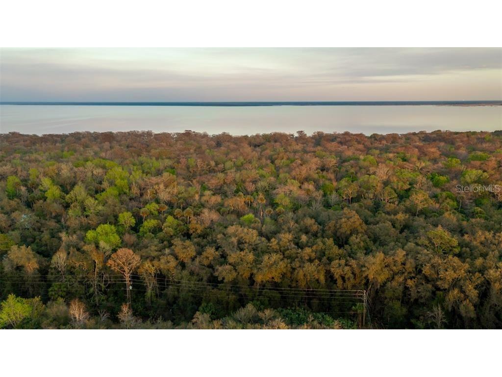 Winona Drive Geneva FL 32732 - LAKE HARNEY O6083243 image1