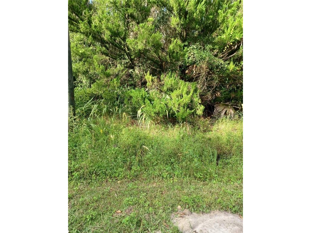 Winona Drive Geneva FL 32732 V4945626 image1