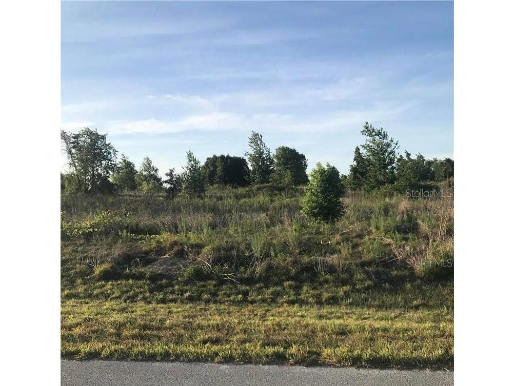  Winter Garden FL 34787 J970434 image1