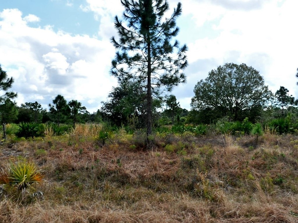 Winterville Circle North Port FL 34288 C7504818 image1