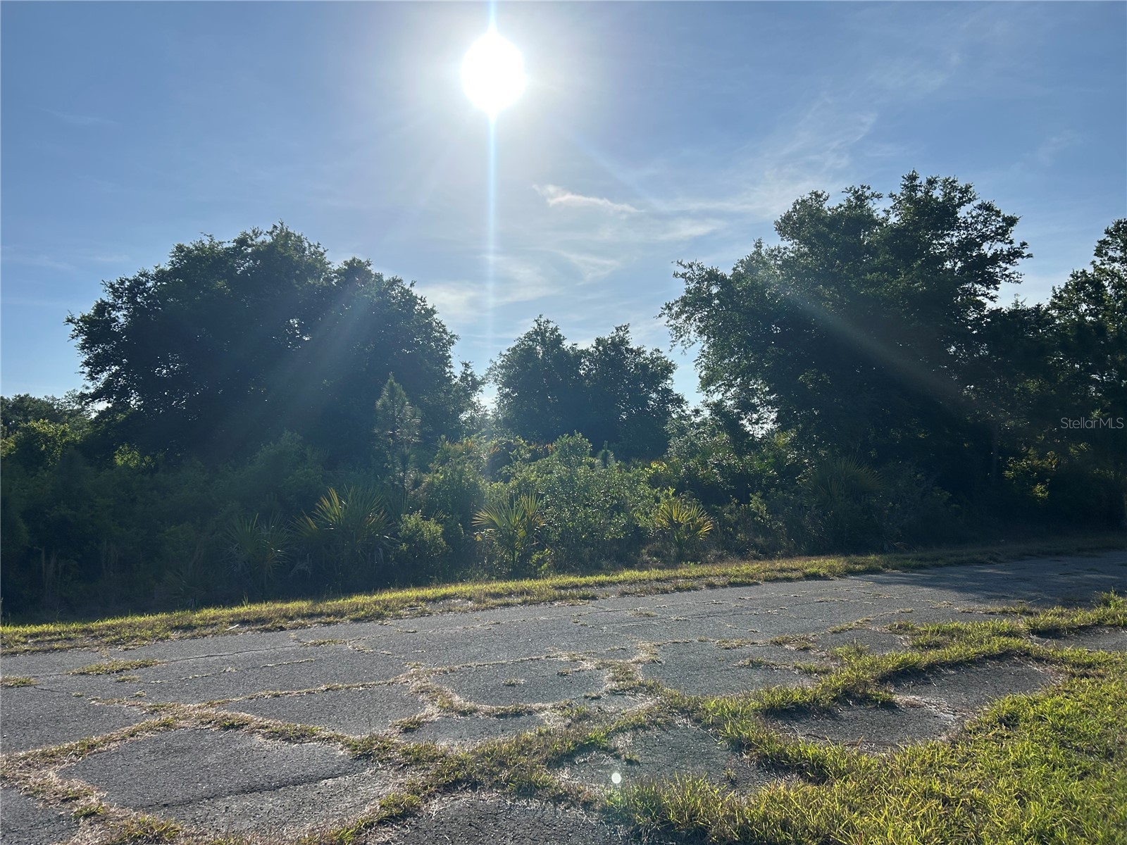 Winterville Circle North Port FL 34288 C7525264 image2