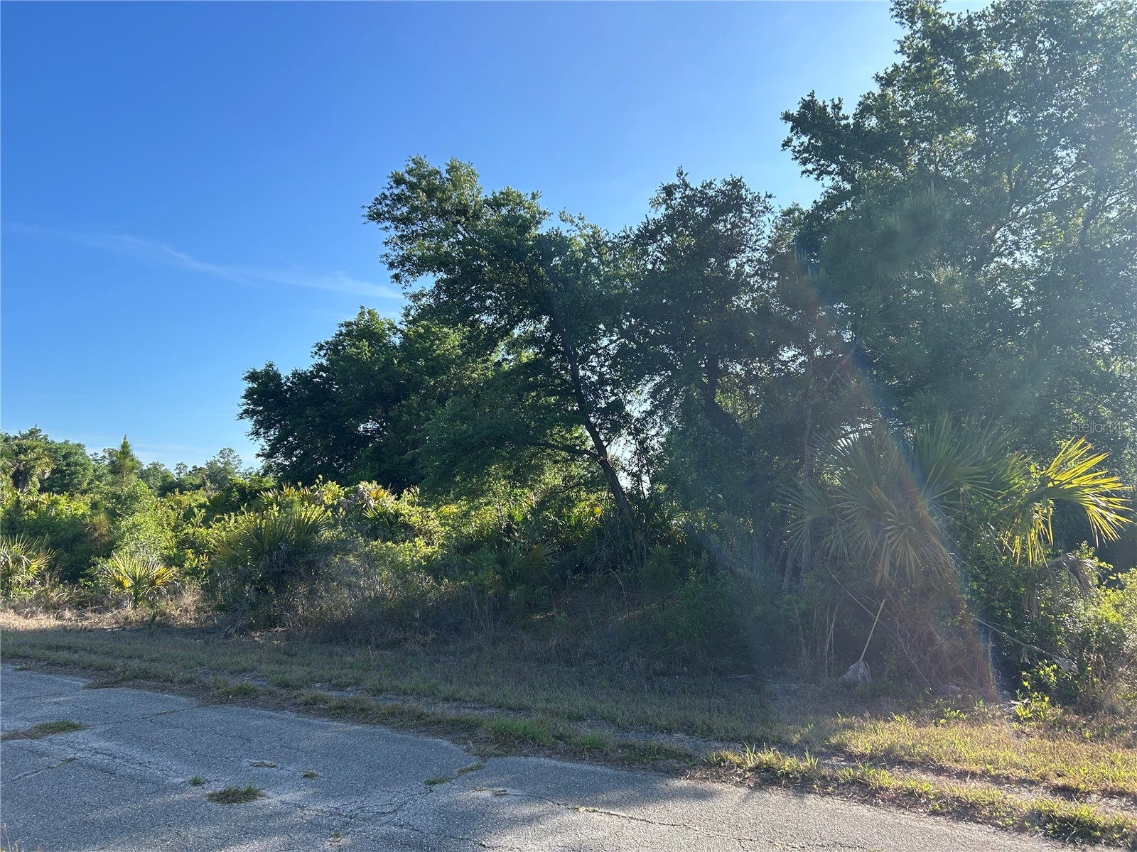 Winterville Circle North Port FL 34288 C7525264 image3