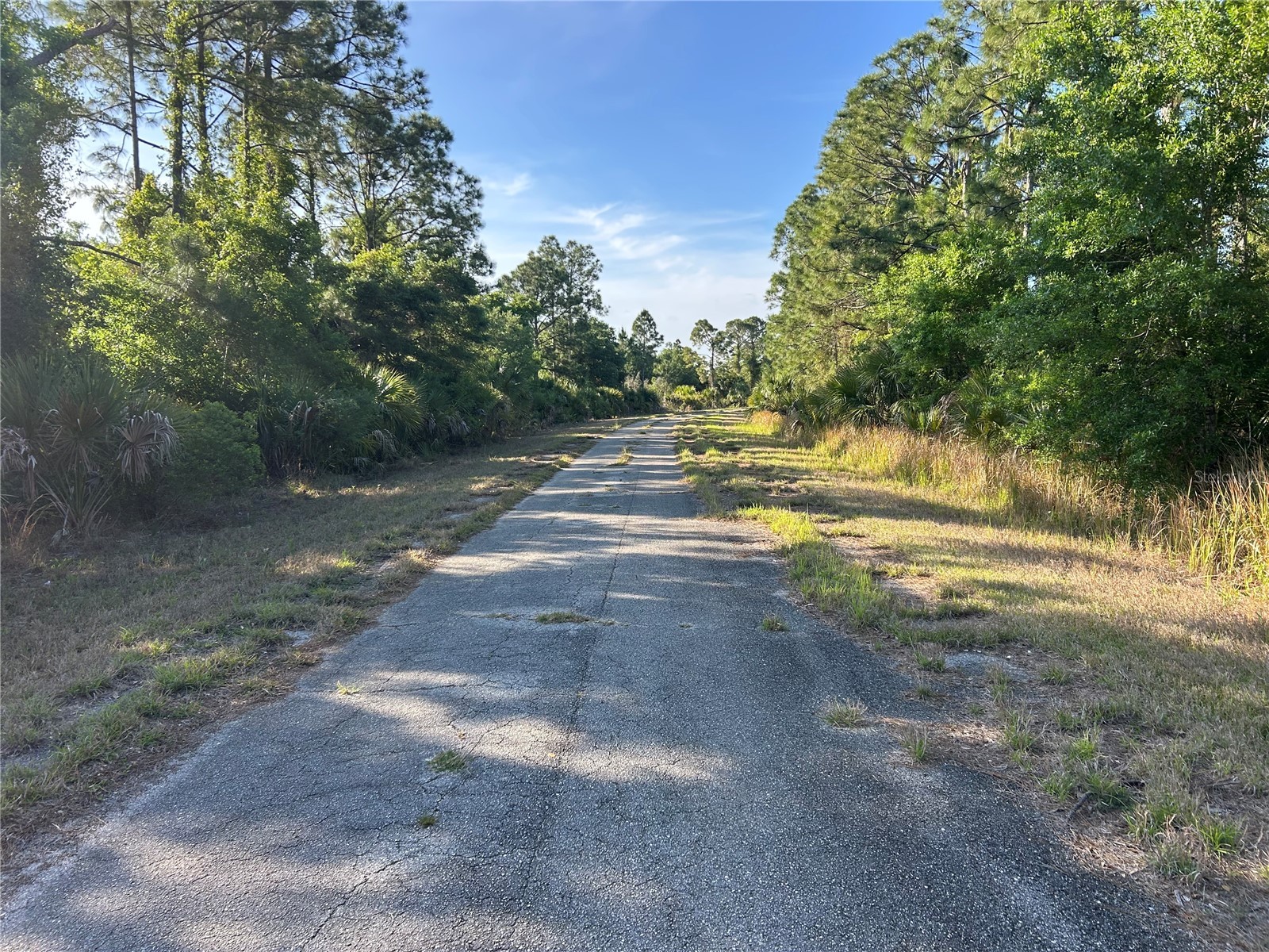 Winterville Circle North Port FL 34288 C7525264 image4