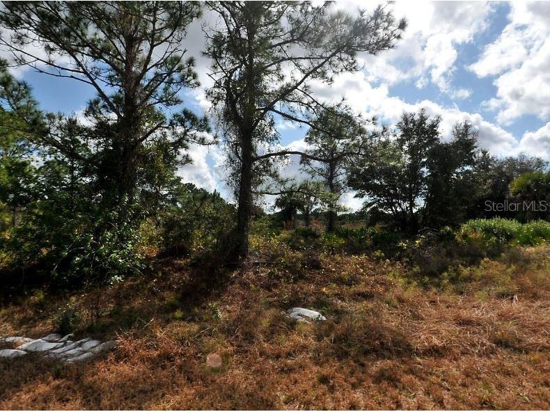 Winterville Circle North Port FL 34288 O6185098 image2