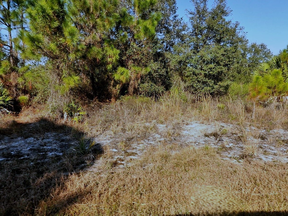 Winterville Circle North Port FL 34288 O6390326 image1