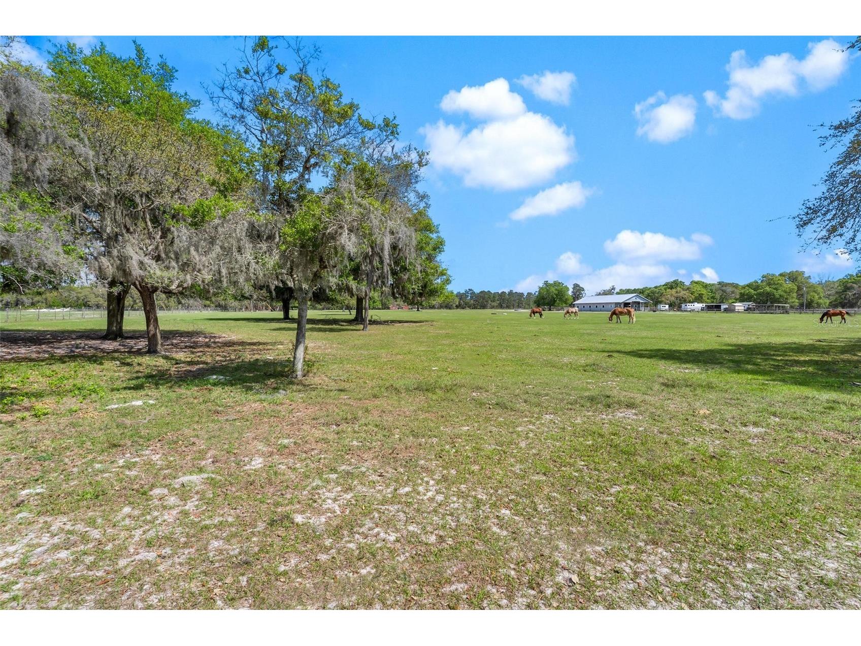 Winterwillow Lane Eustis FL 32736 G5110156 image1