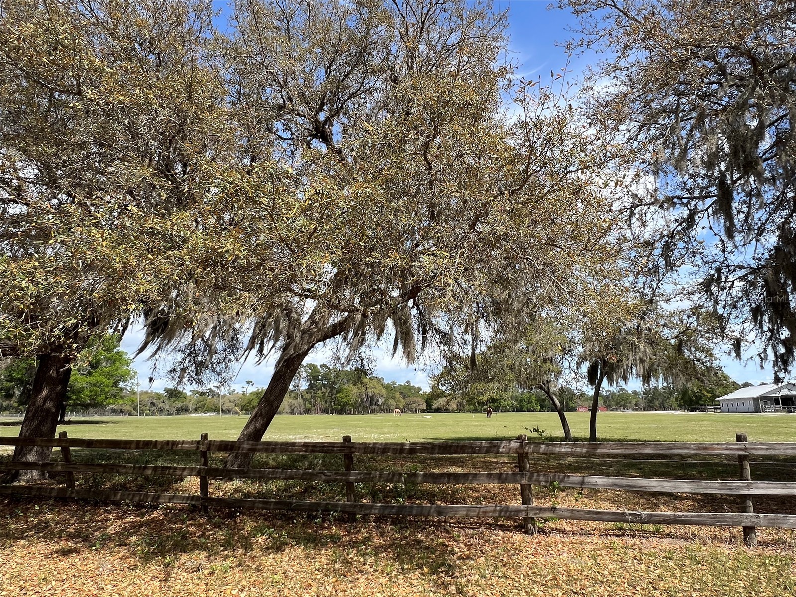 Winterwillow Lane Eustis FL 32736 G5110156 image16