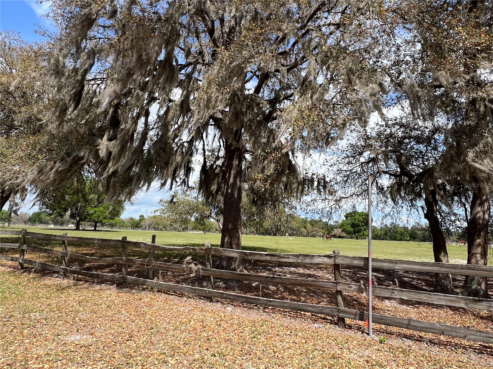 Winterwillow Lane Eustis FL 32736 G5110156 image18