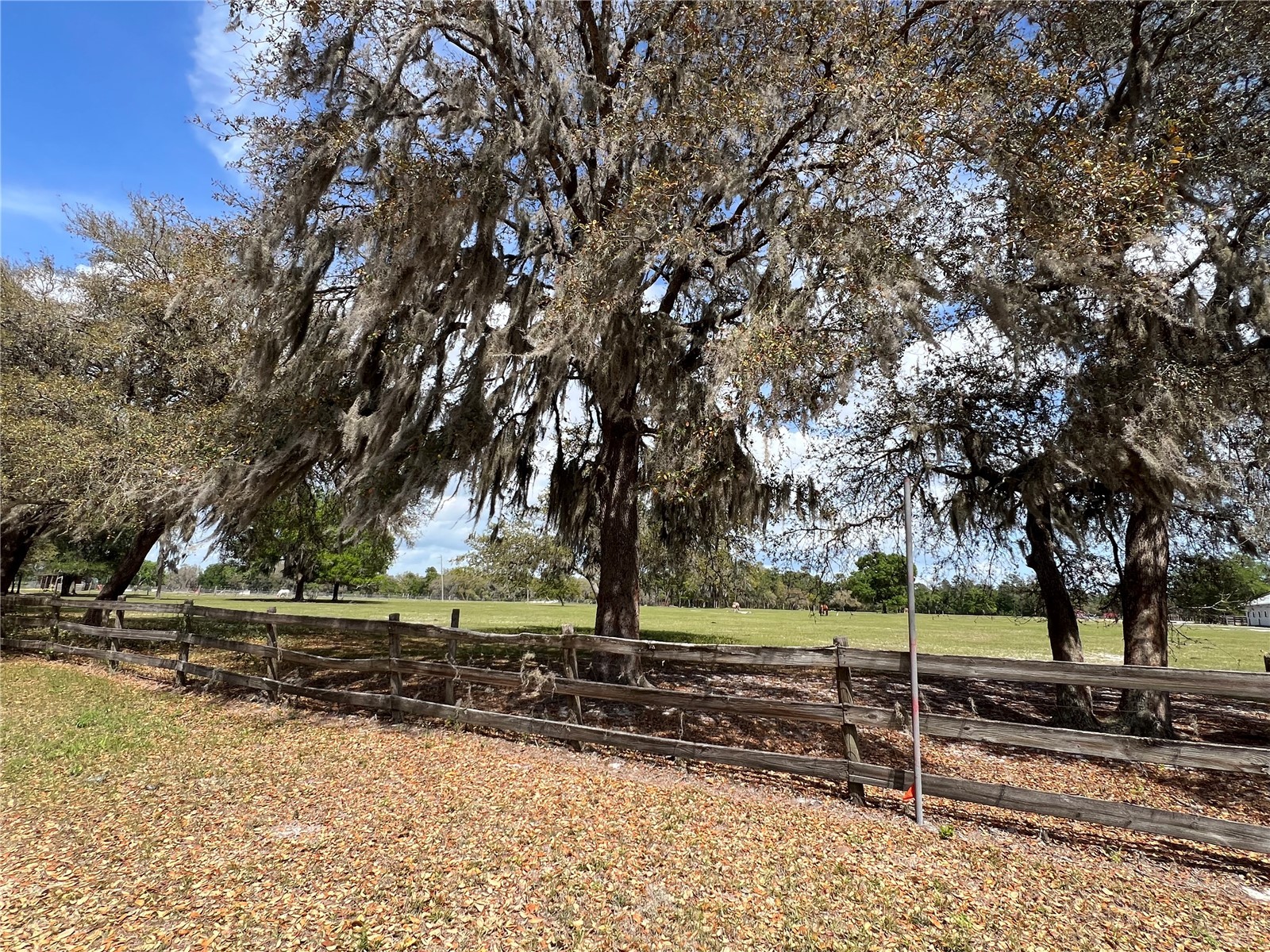 Winterwillow Lane Eustis FL 32736 G5110156 image20