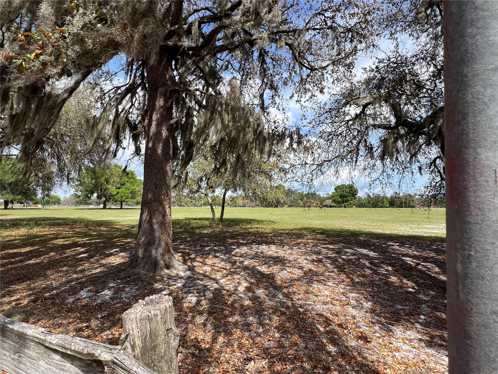 Winterwillow Lane Eustis FL 32736 G5110156 image22