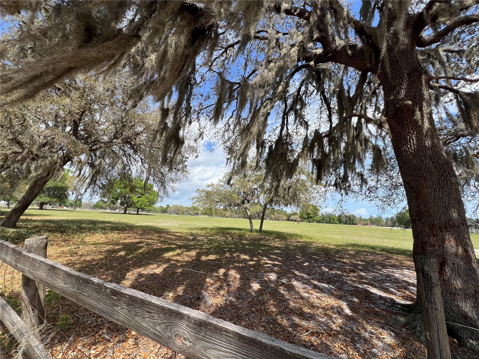 Winterwillow Lane Eustis FL 32736 G5110156 image25