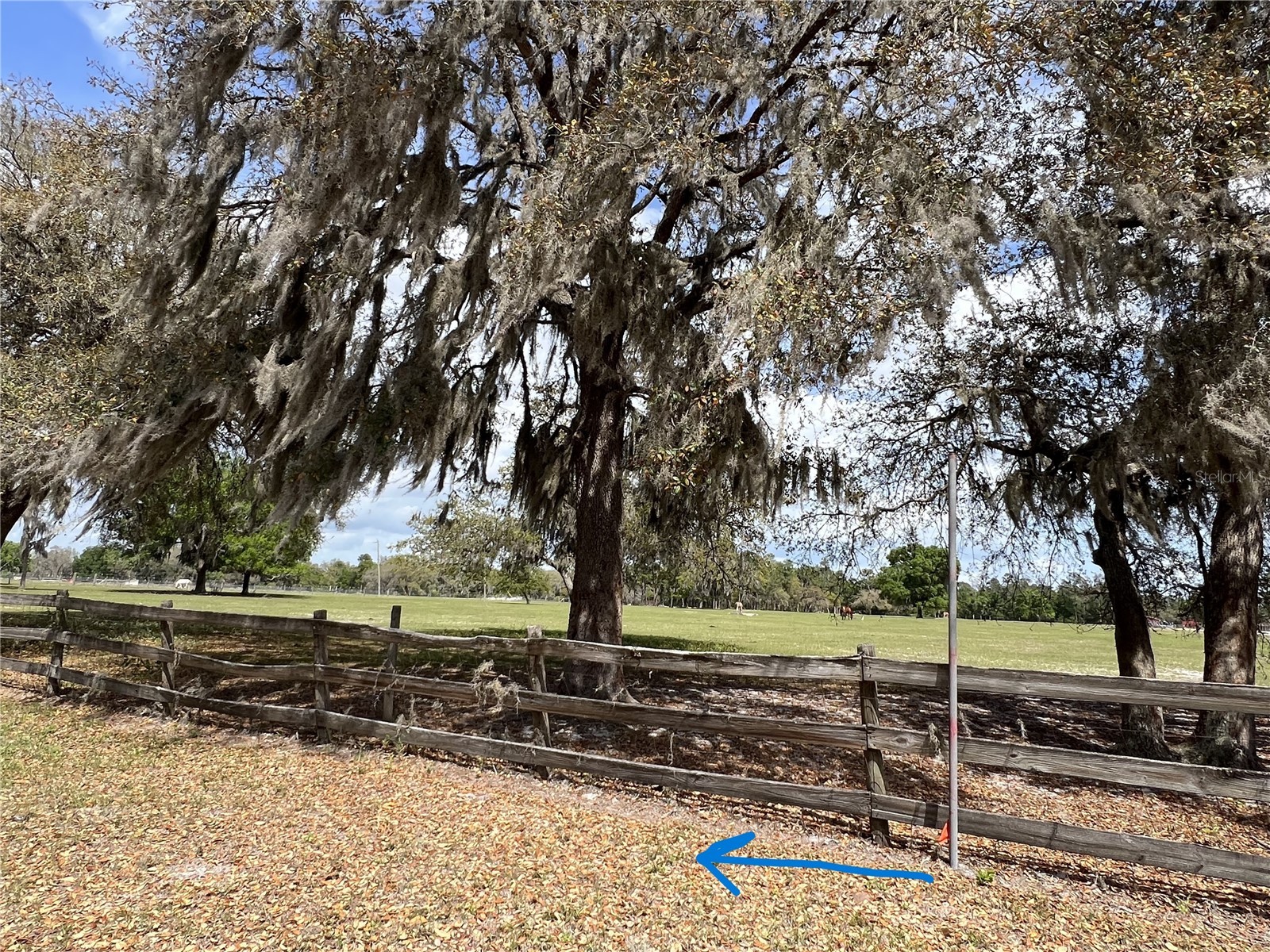 Winterwillow Lane Eustis FL 32736 G5110156 image3