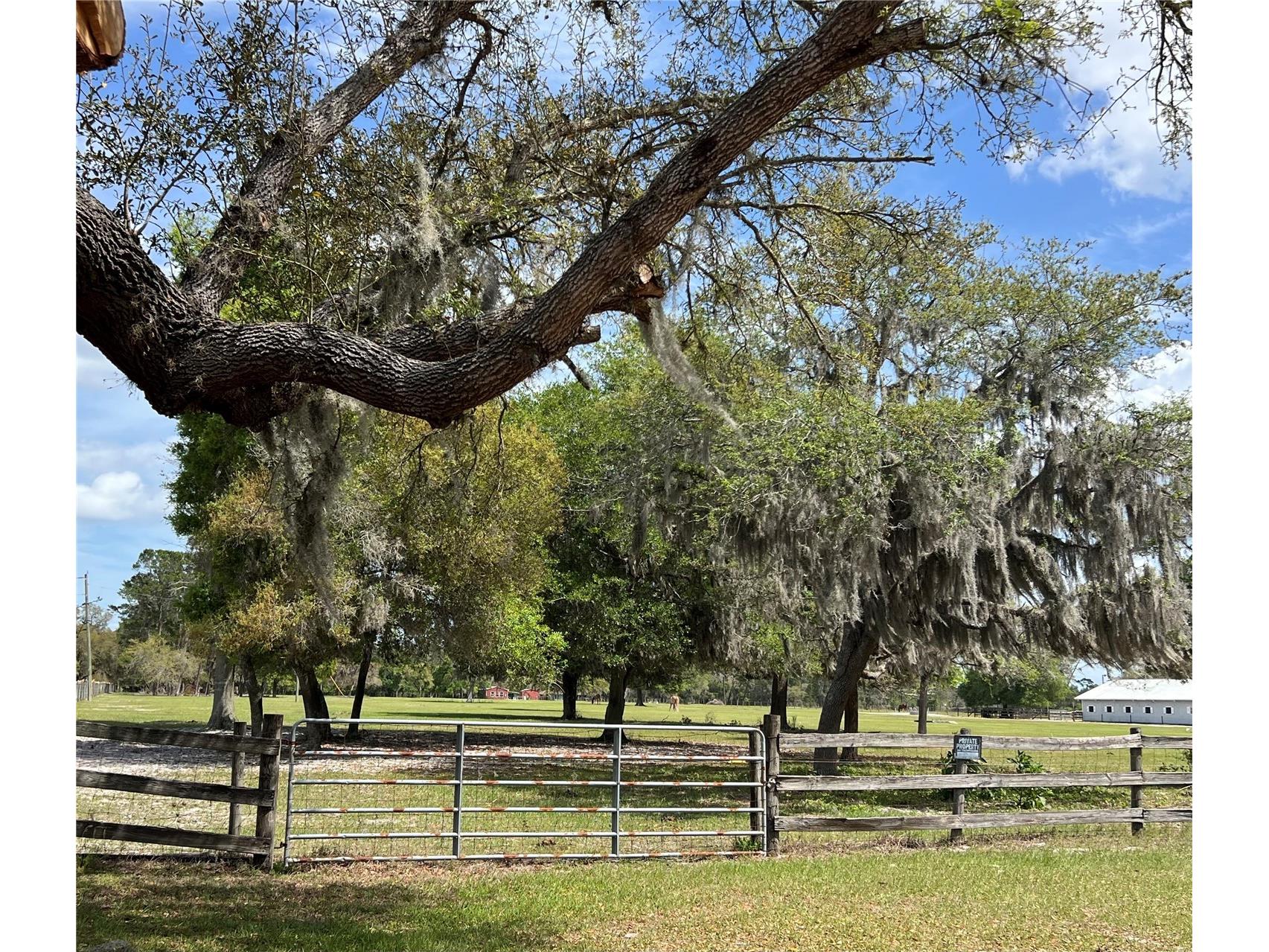 Winterwillow Lane Eustis FL 32736 G5110156 image5