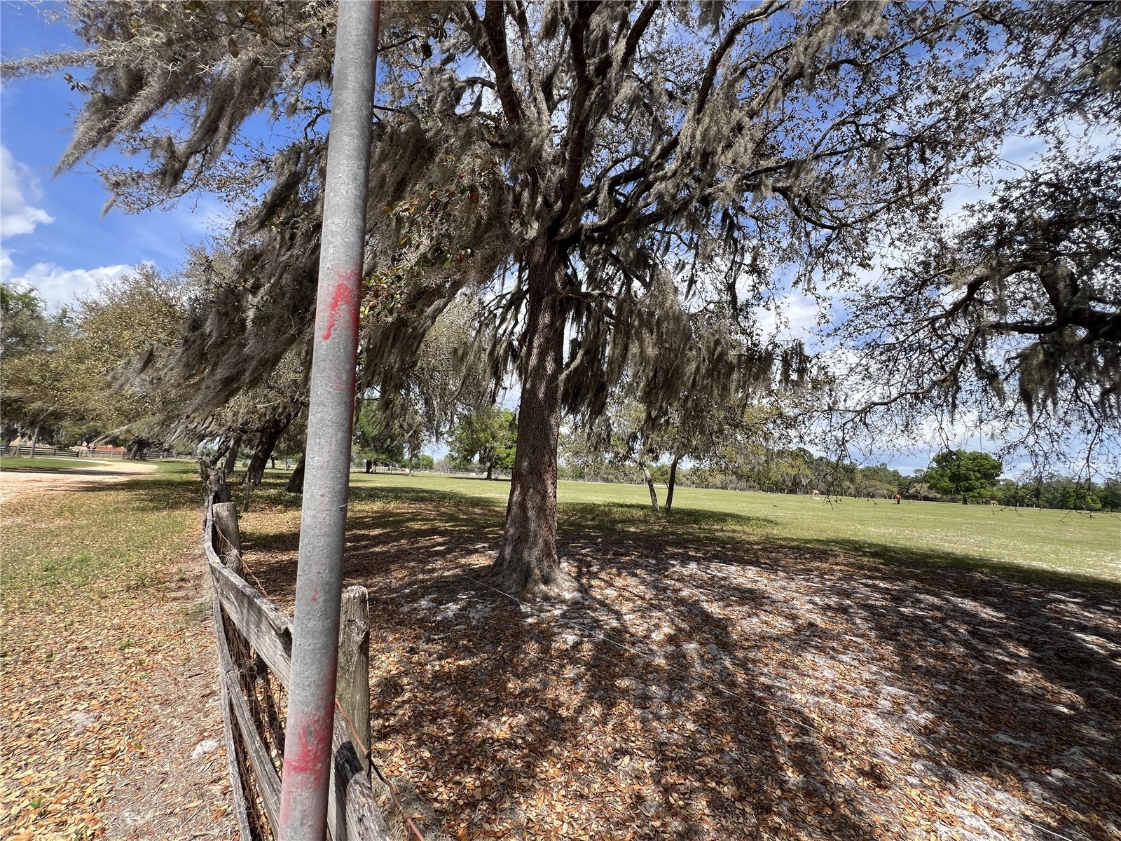 Winterwillow Lane Eustis FL 32736 G5110156 image6