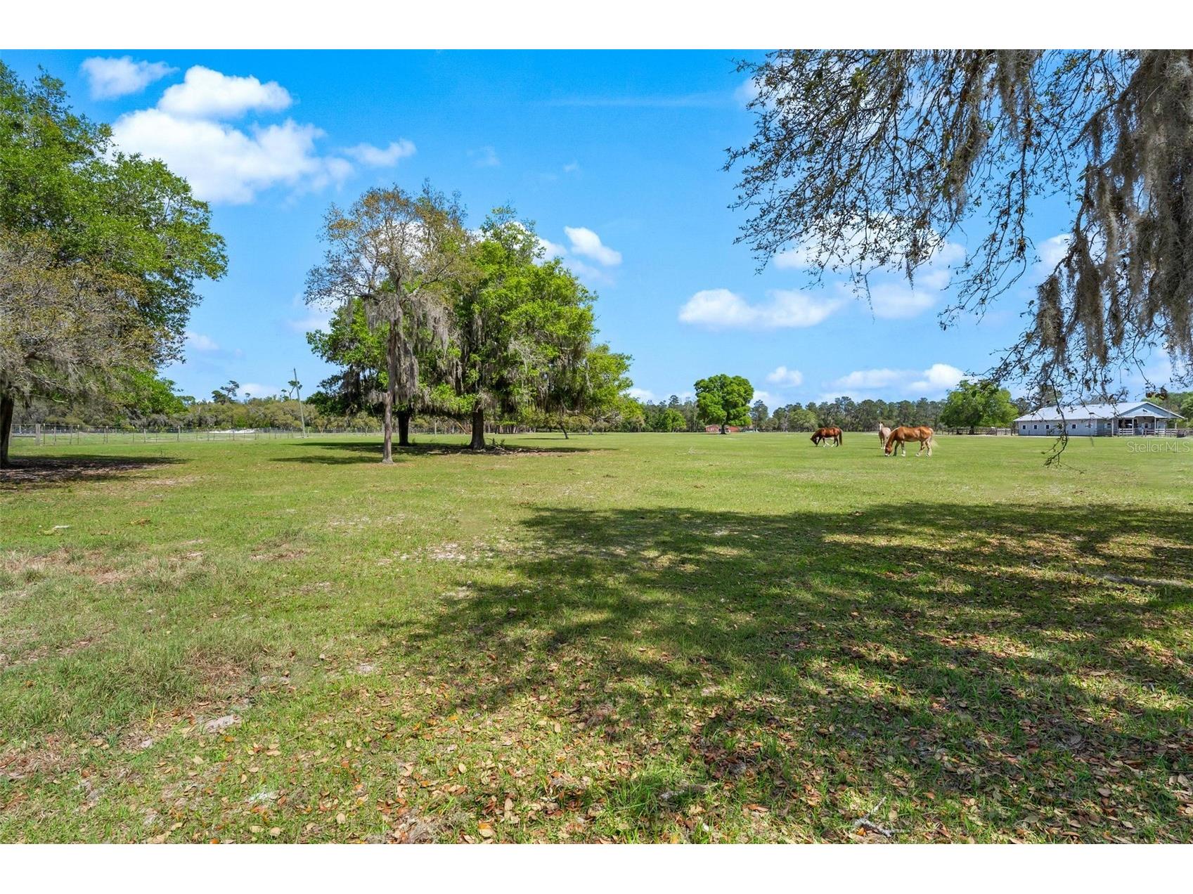 Winterwillow Lane Eustis FL 32736 G5110156 image7