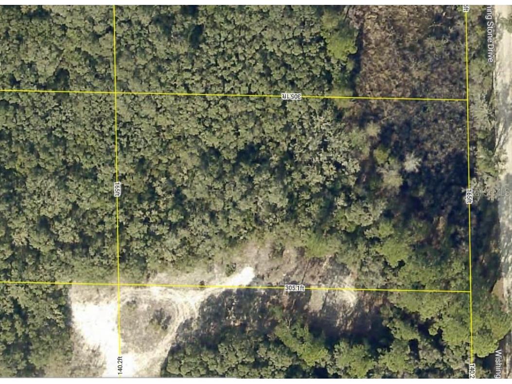 Wishing Stone Street Webster FL 33597 G5099255 image1