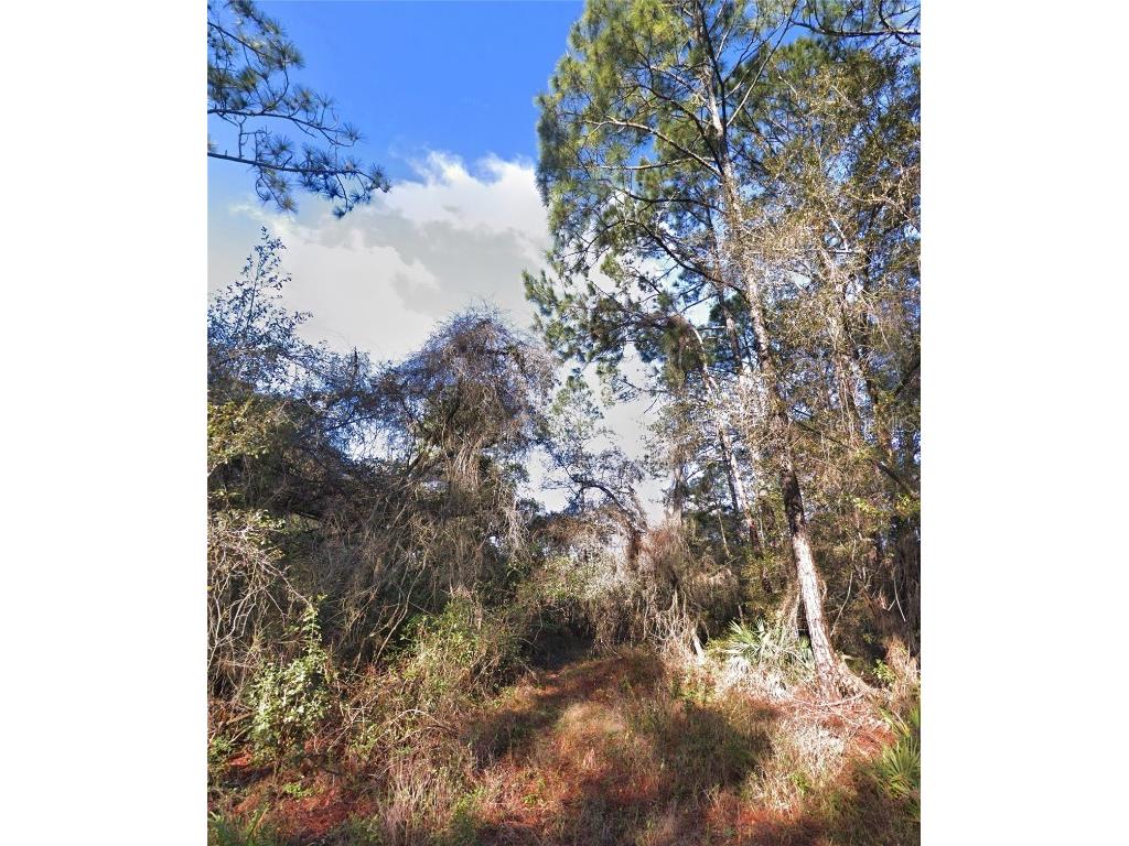 Wishing Stone Street Webster FL 33597 G5099255 image2