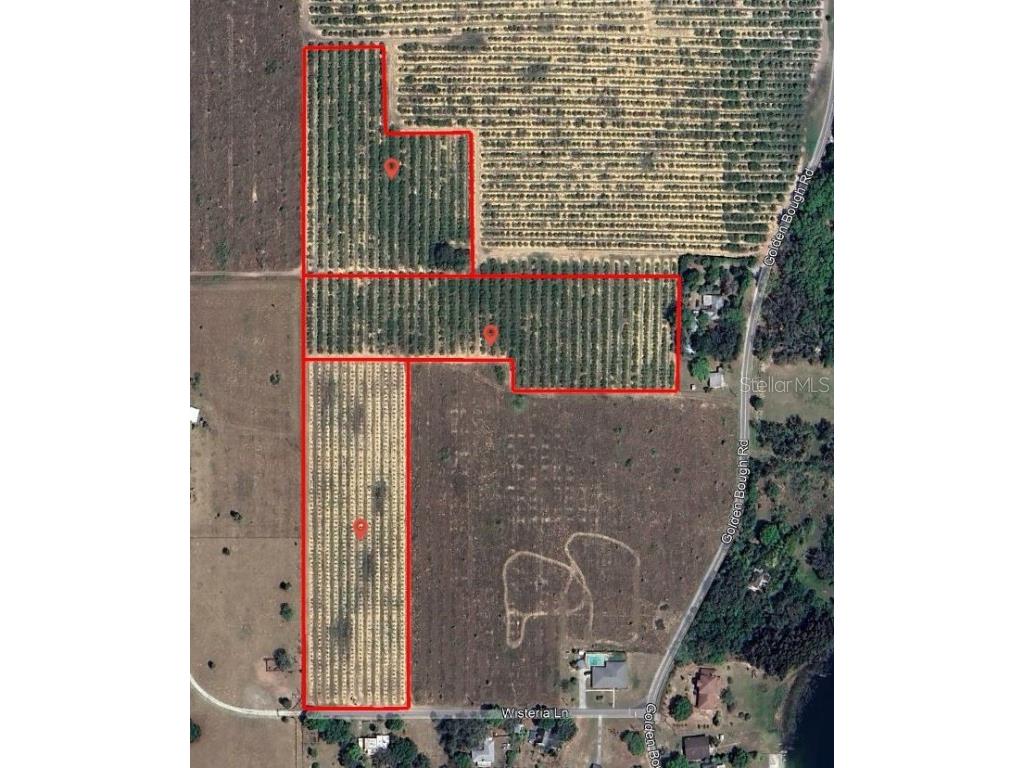 Wisteria Lane Lake Wales FL 33898 P4929995 image1