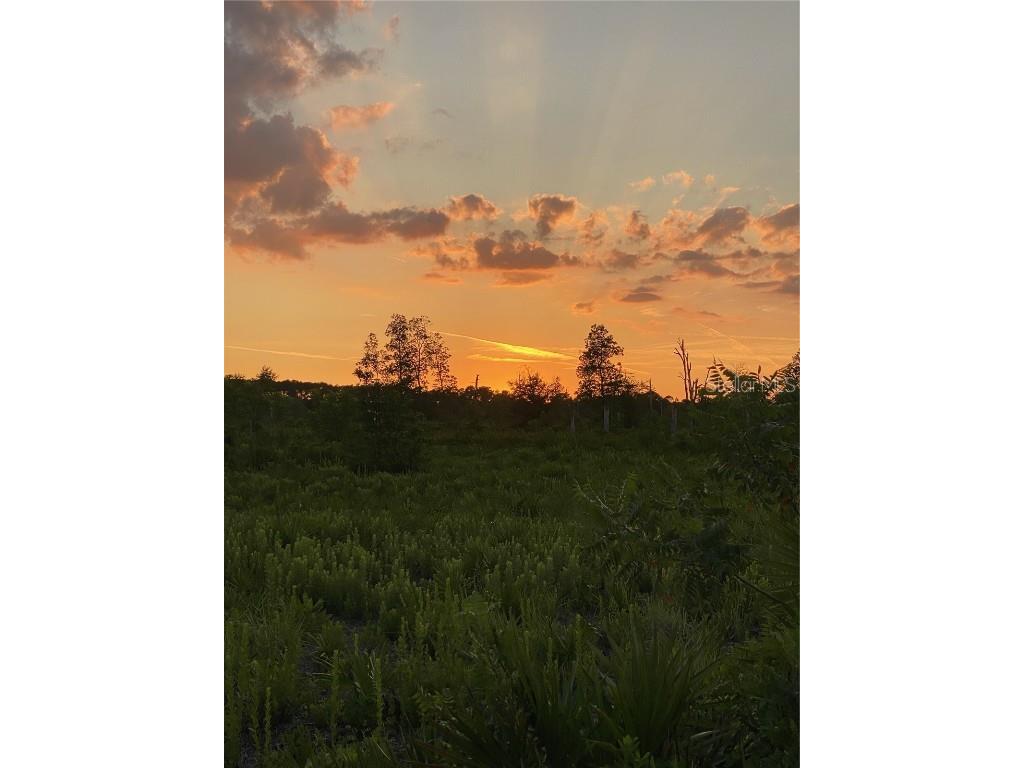 Wiygul Road Umatilla FL 32784 G5084678 image1