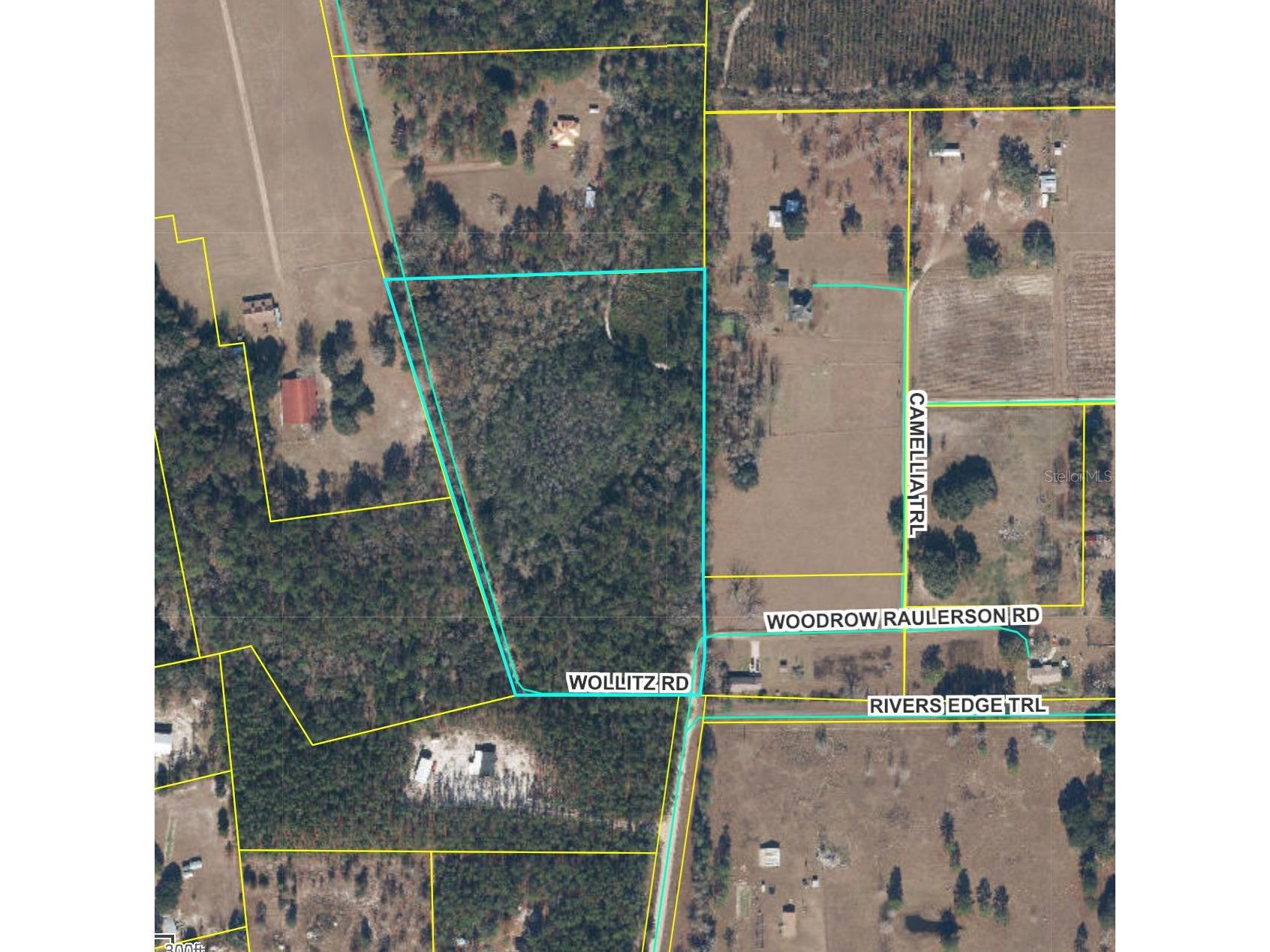 Wollitz Road Glen Saint Mary FL 32040 GC537035 image1