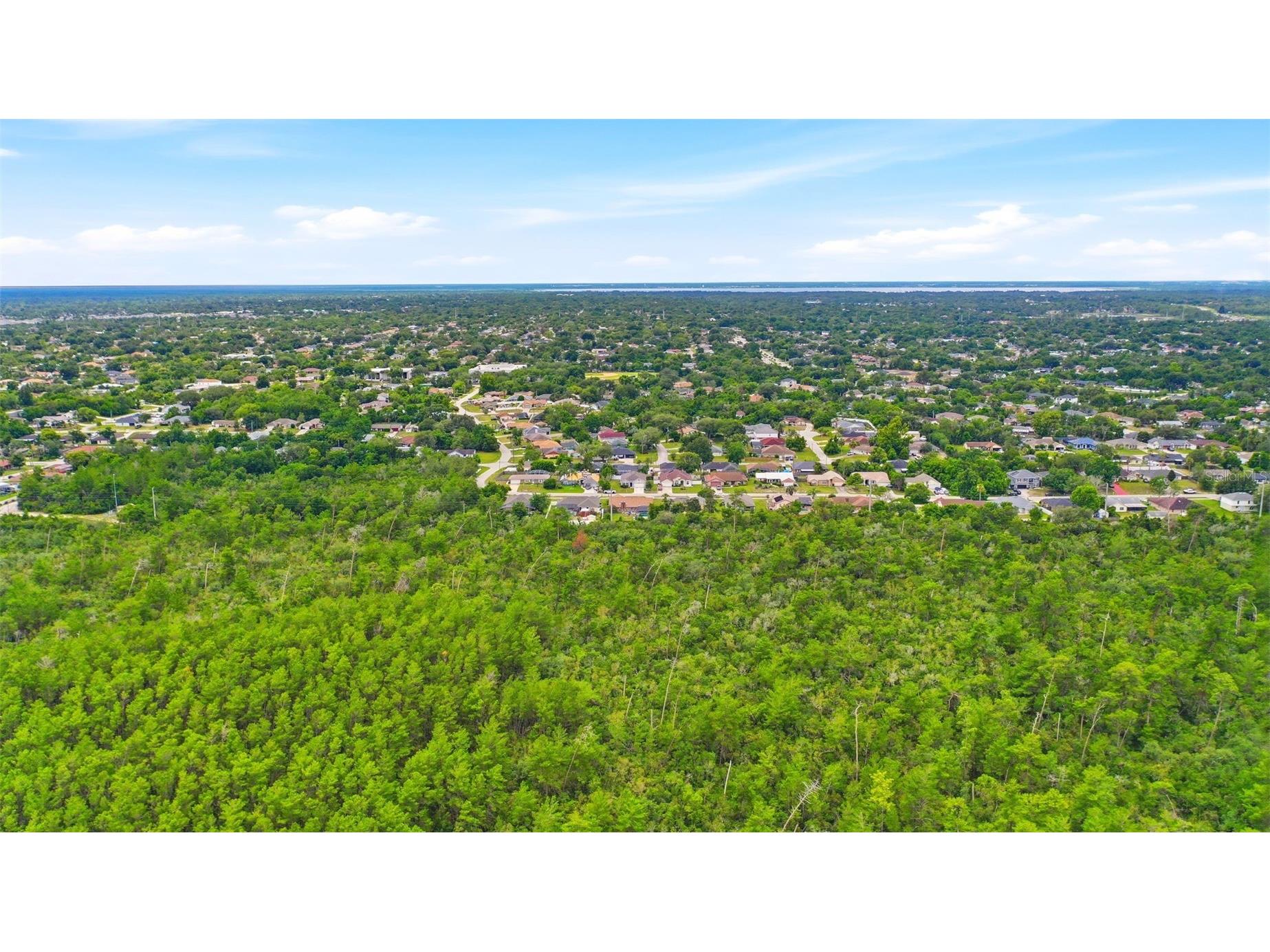 Wolverine (Paper) Avenue Deltona FL 32725 O6415997 image9