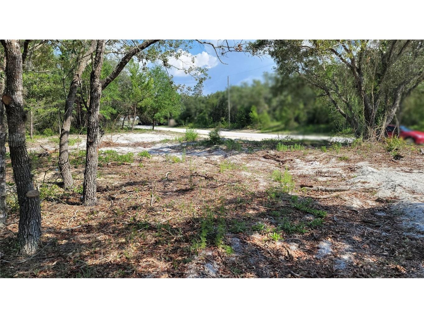 Wood Drive Hudson FL 34667 U8199499 image1