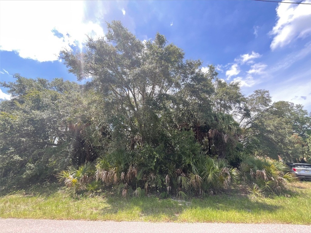 Wood Rose Street North Port FL 34288 C7462802 image1