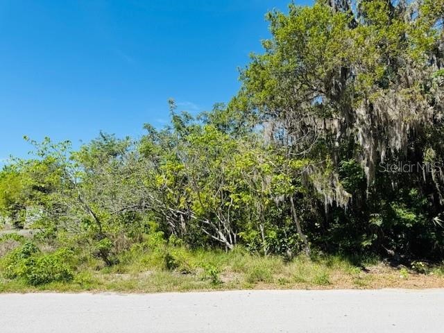 Woodbine Lane Leesburg FL 34748 O6350919 image1
