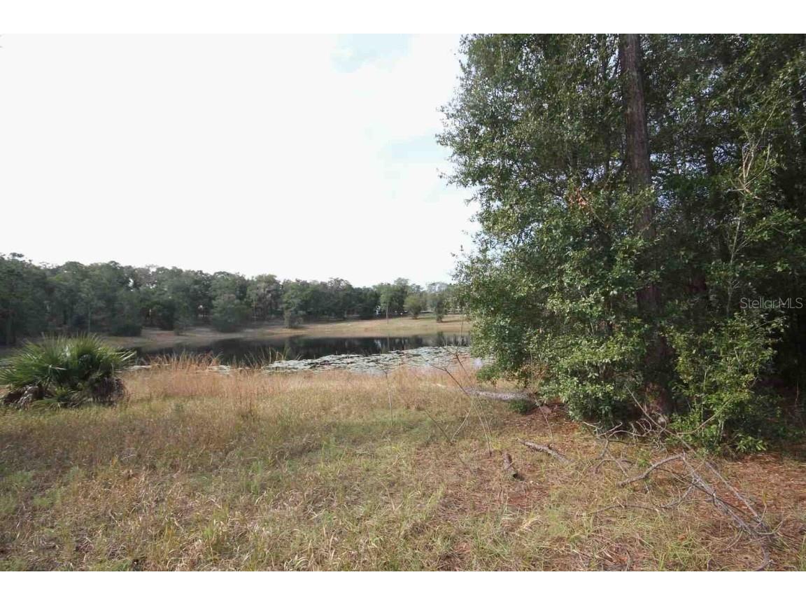 Woodgate Lane Lady Lake FL 32159 - Lake Alice G5077853 image1