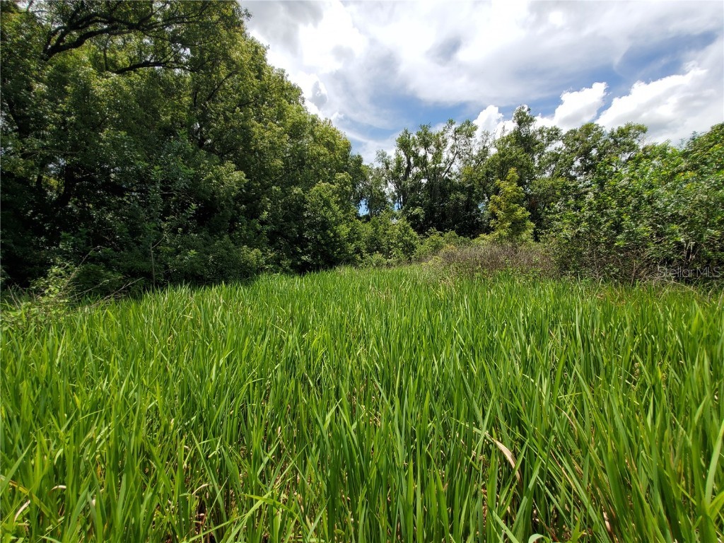 Woodland Avenue Lakeland FL 33801 L4924795 image11