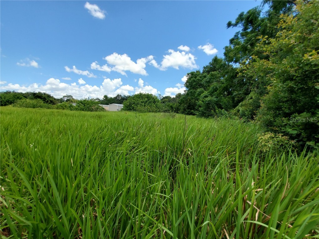 Woodland Avenue Lakeland FL 33801 L4924795 image13