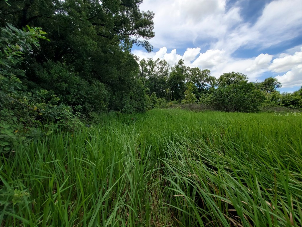 Woodland Avenue Lakeland FL 33801 L4924795 image15