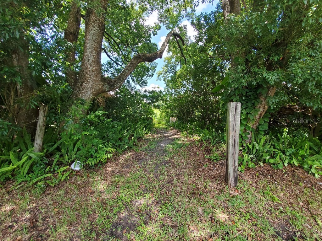 Woodland Avenue Lakeland FL 33801 L4924795 image2