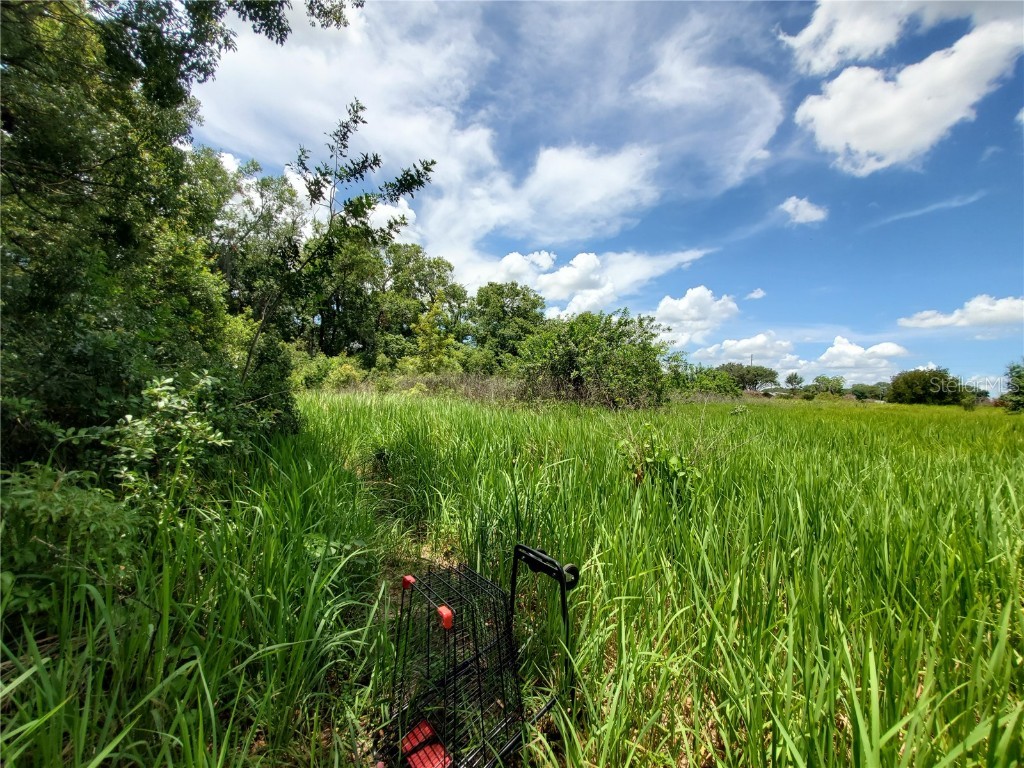 Woodland Avenue Lakeland FL 33801 L4924795 image3